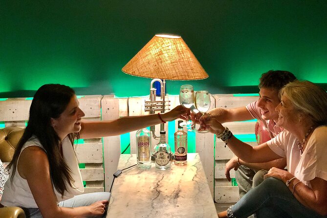 1-Hour Gin Tonics Guided Workshop with special view in Madrid - What Makes the Gins Different: Spain to Glass