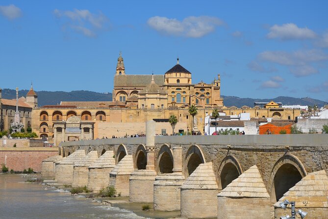 2-Day Guided Tour to Cordoba and Seville from Madrid - Day Two: Seville Highlights by Foot, Then the AVE Back to Madrid