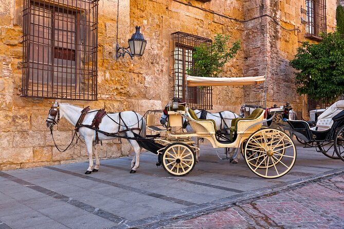 Andalusian Highlights: 6-Day Guided Tour from Madrid - Price and value: what $1,006.48 includes (and what costs extra)