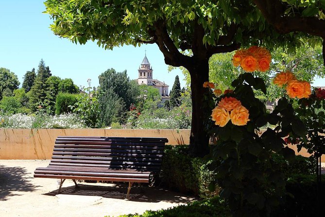 Andalusian Highlights: 6-Day Guided Tour from Madrid - Cordoba’s Mosque-Cathedral area and the Jewish Quarter walk