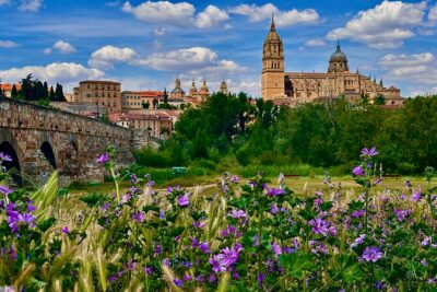Avila and Salamanca : Magic and Small Group History from Madrid - Meeting at Puerta de O’Donnell and driving with a small group