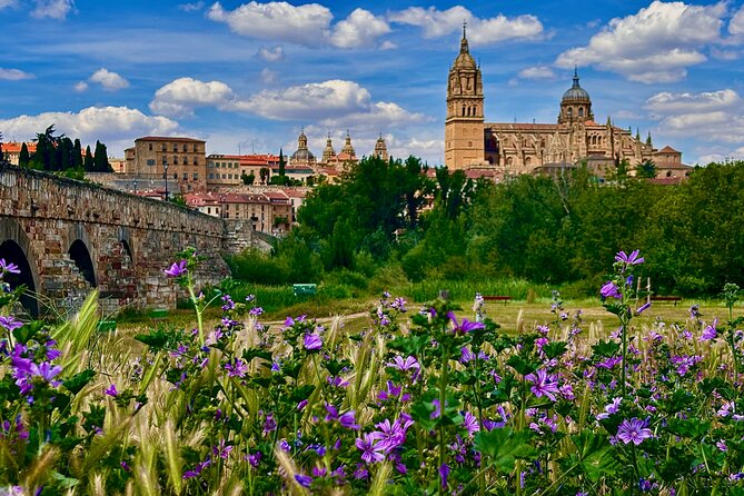 Avila and Salamanca : Magic and Small Group History from Madrid - Meeting at Puerta de O’Donnell and driving with a small group
