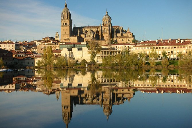 Best Private Full day Tour to Salamanca from Madrid hotel - Why this private Salamanca tour feels efficient (even with the drive)