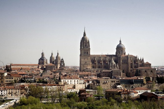 Best Private Full day Tour to Salamanca from Madrid hotel - Plaza Mayor and your personal wandering time