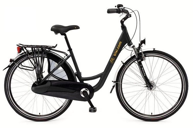 City Bike Rental with Phone Holder and Self Guided Tour - Hills, heat, and when you should choose the electric bike
