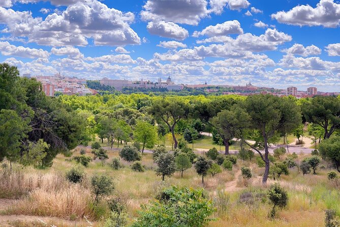 Ebike tour Madrid, green areas and panoramic views. 3 hours - Parque Lineal del Manzanares: panoramic views from the Lady of Manzanares