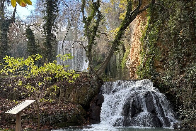 Explore the Stone Monastery and discover Sigüenza from Madrid - Sigüenza old town: medieval streets in a short, focused stop