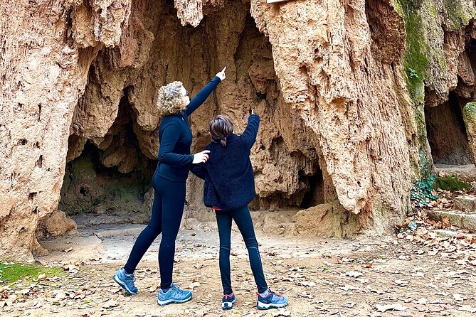 Explore the Stone Monastery and the Kingdom of Aragon from Madrid - What’s included (and why it’s good value for the day)