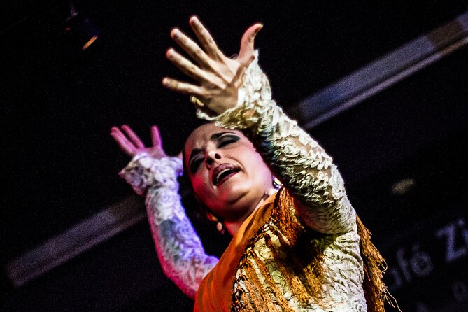 Flamenco Show at Café Ziryab: Madrid - Who should book this flamenco at Café Ziryab (and who should look elsewhere)