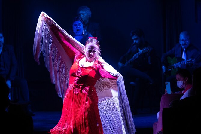 Flamenco Show at the Tablao Flamenco la Carmela - The Show’s Mood: Family-Friendly Energy with Storytelling Choices