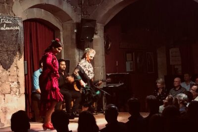 Flamenco show & tasting Tapas with panoramic views in Madrid - Price and logistics: is $286.27 worth it?