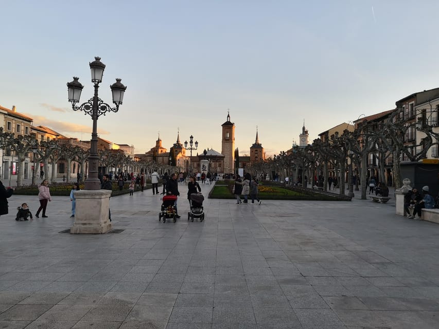 From Madrid: Alcalá de Henares, Winery Tour & Wine Tasting - Key highlights worth your attention