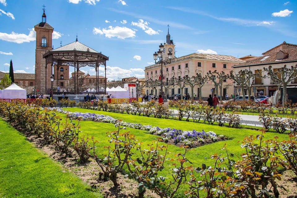 From Madrid: Alcalá de Henares, Winery Tour & Wine Tasting - University of Alcalá (founded 1499): education history with a purpose