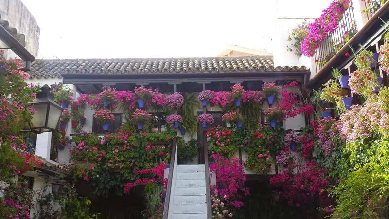 From Madrid: Cordoba and Mosque Day Trip by High-Speed Train - Should you book this tour?