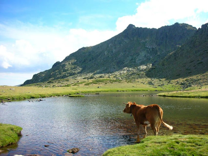 From Madrid: Day Trip to Guadarrama National Park - Manzanares el Real Castle: a quick culture wink before the hike