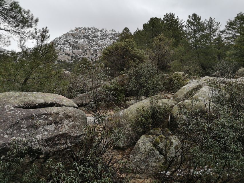 From Madrid: Day Trip to Guadarrama National Park - Navacerrada lunch: planning matters since food isn’t included