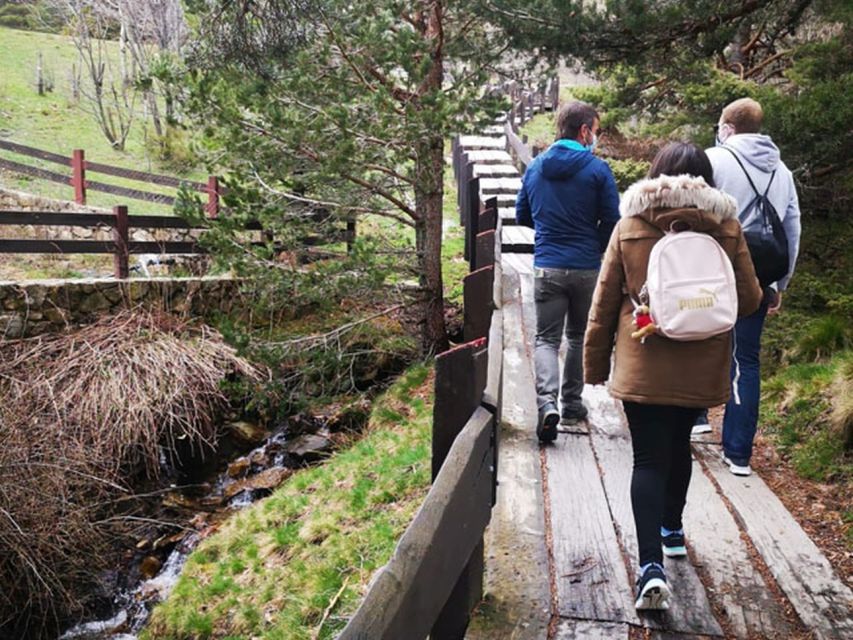 From Madrid: Day Trip to Guadarrama National Park - Puerto de Navacerrada and Puerto de Cotos: viewpoints with guided context