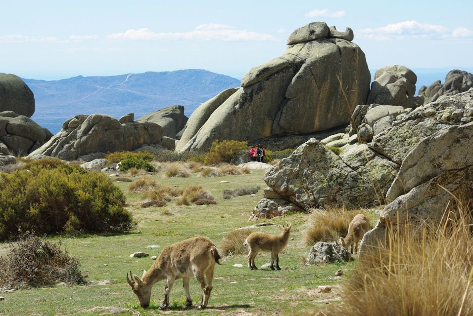 From Madrid: Sierra de Guadarrama Hiking Day Trip - Sierra de Guadarrama: why this park feels special from Madrid