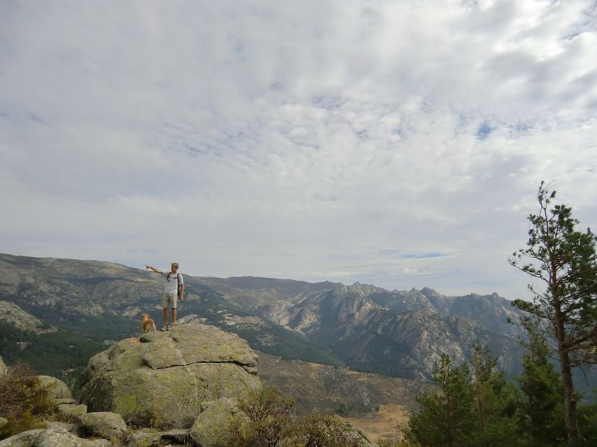 From Madrid: Sierra de Guadarrama Hiking Day Trip - 4 hours hiking with your guide: what you’re actually buying