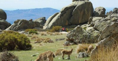 From Madrid: Sierra de Guadarrama Hiking Day Trip - Sol pickup to the jeep ride: easy logistics, real countryside payoff