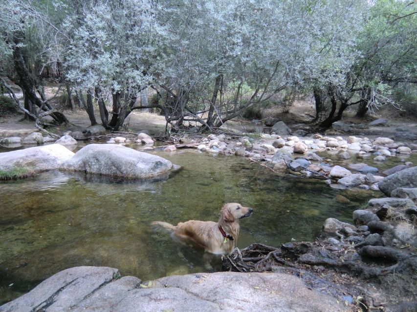 From Madrid: Sierra de Guadarrama Hiking Day Trip - Transport timing: how to plan your day in Madrid