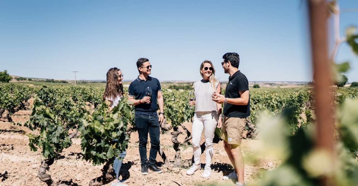 From Madrid: Traditional Villages, Winery Tour & Tapas Lunch - Wine tasting with tapas: what the pairing is really for
