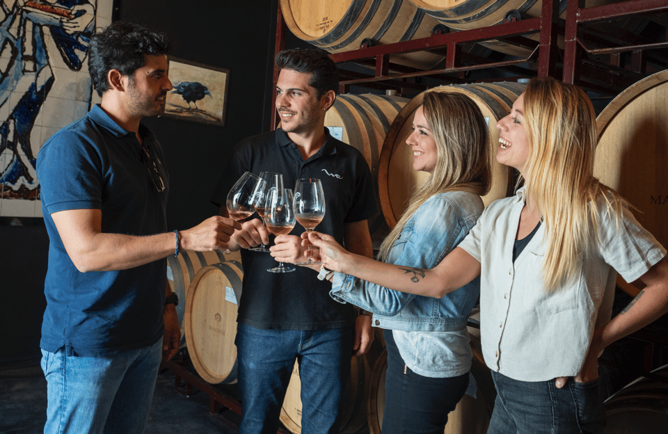 From Madrid: Traditional Villages, Winery Tour & Tapas Lunch - How the full day flows: bus time, guided walking, and regrouping