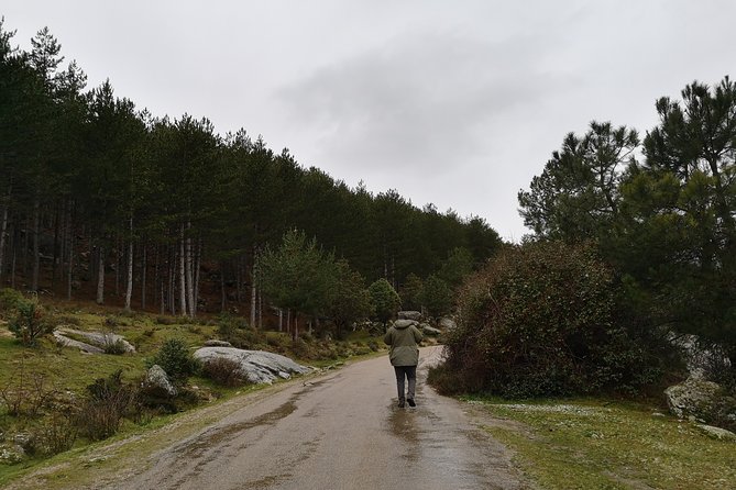 Full-Day Private Guided Tour to Guadarrama National Park - Wildlife you might spot, and how to enjoy the odds