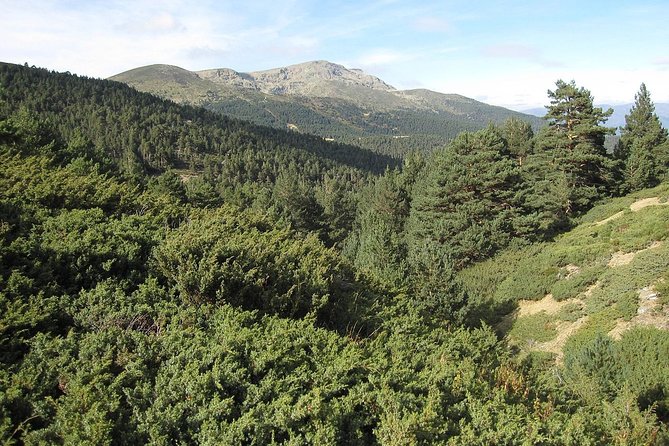 Guadarrama National Park from Madrid - Trading Madrid traffic for the Sierra in one morning