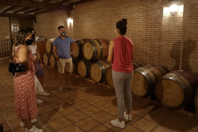 Guided Madrid Countryside Wine Tasting & Winery Tour - Bodega del Nero winery tour: vineyards, cool cellars, and barrel rooms