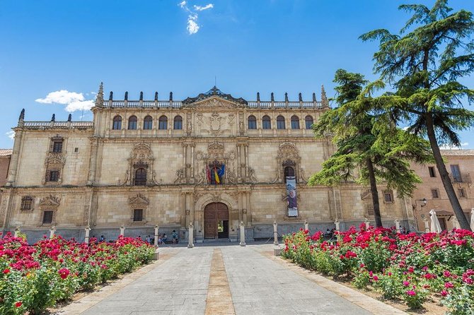 Half-Day Trip to Alcalá de Henares & Winery Visit from Madrid - Who This Tour Best Suits