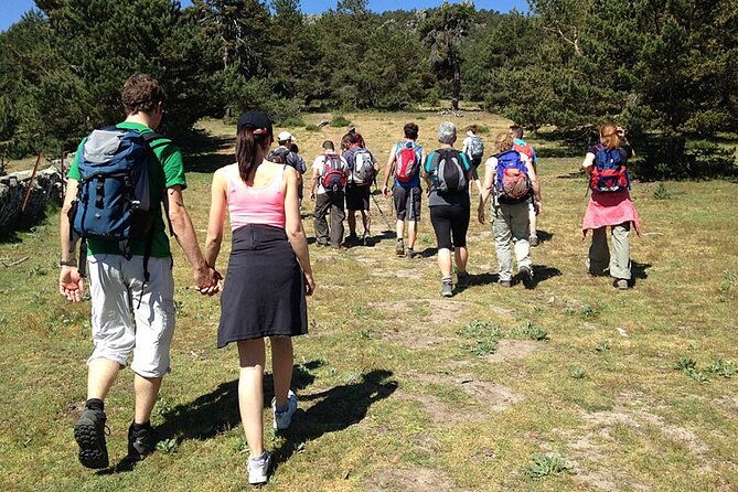 Hiking in Madrid National Park with Transport - Guide Power: What Makes a Private Hike Actually Better