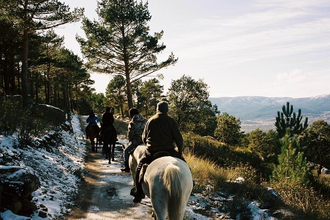 Horse Riding Madrid Natural Park - Key Highlights You’ll Care About