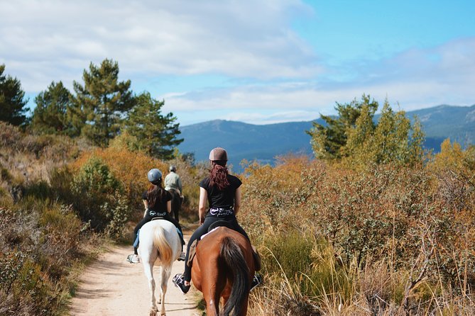 Horse Riding Madrid Natural Park - Getting There From Madrid: Public Transport Reality Check
