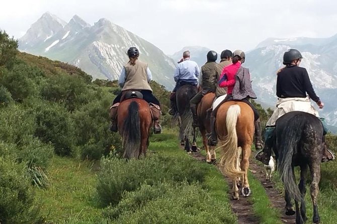 Horse Riding Madrid Natural Park (long Trip) - Key points I’d plan around