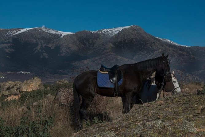 Horse Riding Madrid Natural Park (long Trip) - Sierra de Guadarrama on horseback: why it feels like a real break