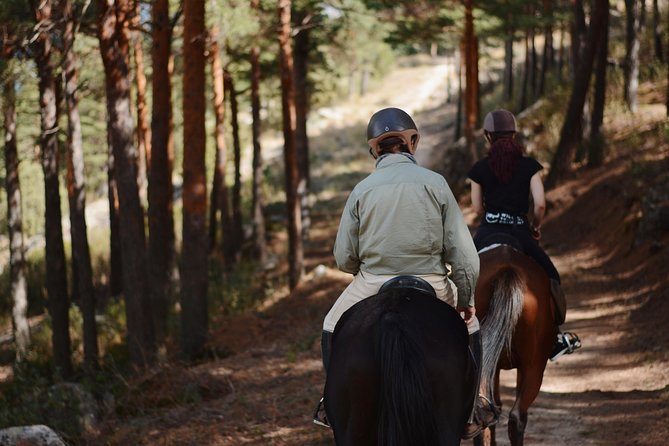 Horse Riding Madrid Natural Park (long Trip) - Riding level truth: medium/advanced means more than “I can sit”