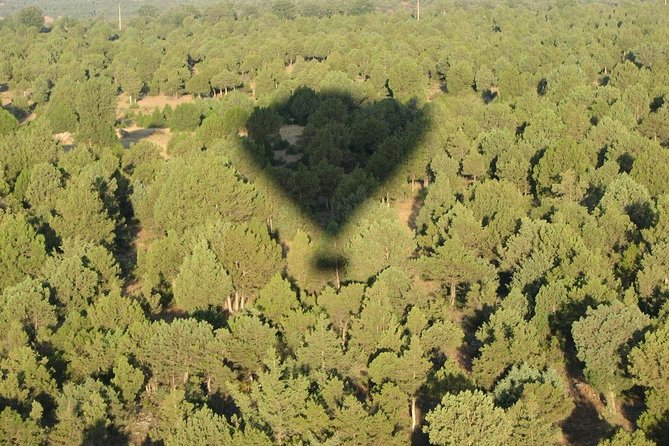 Hot-Air Balloon Ride over Madrid’s Guadarrama Regional Park - Landing and the Spanish brunch with cava you’ll actually remember