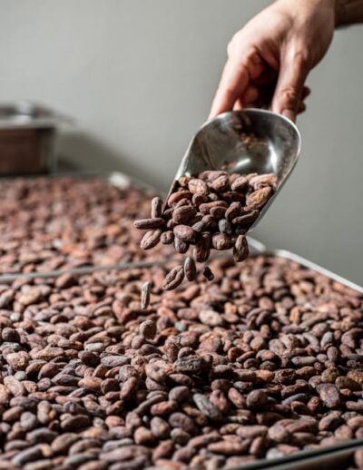 KAIACAO Bean to Bar and Design your own chocolate experience - 90 minutes of chocolate making: from beans to finished bars