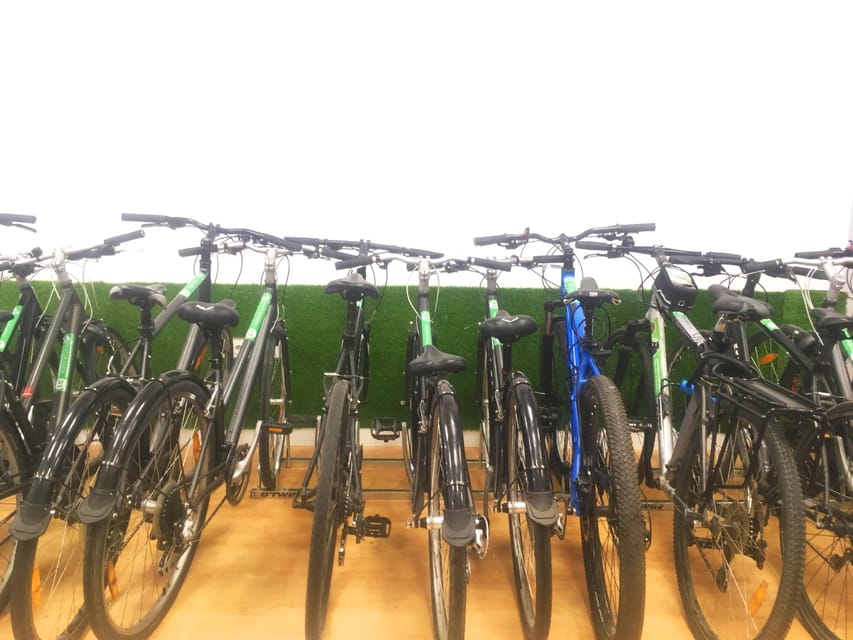 Madrid: bike rental - Key highlights worth your attention