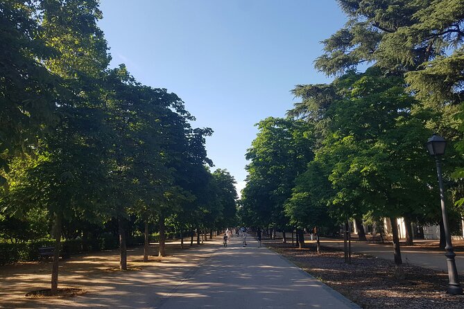 Madrid Bike Tour with Churros and Wine, Ham, and Cheese Upgrade - Old Madrid Quick Hits: Puerta del Sol, Plaza Mayor, Gran Vía