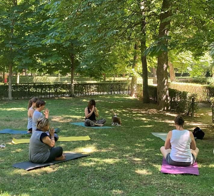 Madrid: Flow Yoga class in Retiro Park - Key highlights you’ll care about