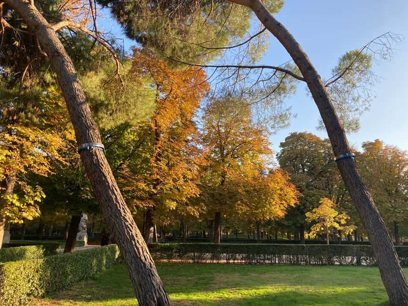 Madrid: Flow Yoga class in Retiro Park - What to do (and what not to do) before you go