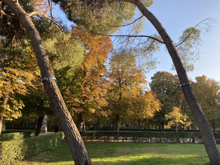 Madrid: Flow Yoga class in Retiro Park - Price and value: why $44 makes sense for Madrid’s center
