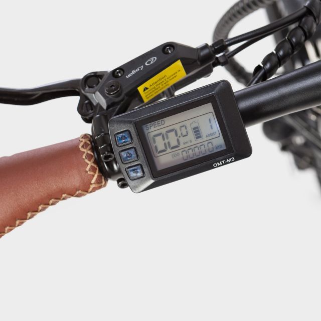 Madrid: Guided Electric Bike Tour. City center & Retiro Park - Key things you’ll like about this tour