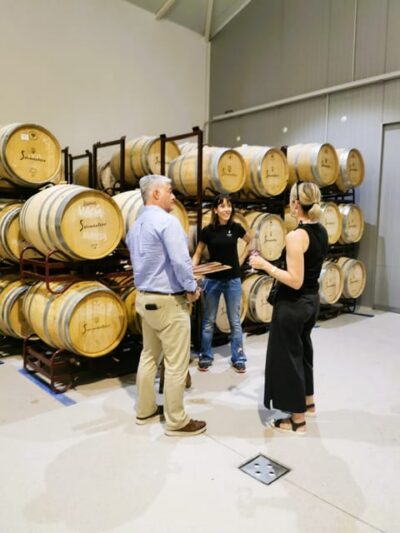 Madrid: half day wine region tour - The drive out: olive groves, vines, and medieval towns