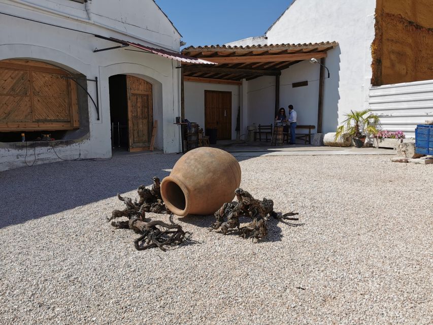 Madrid: half day wine region tour - Why DOC Vinos de Madrid is the point