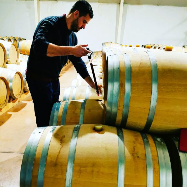 Madrid: half day wine region tour - The village pause: Chinchón or Colmenar de Oreja for atmosphere
