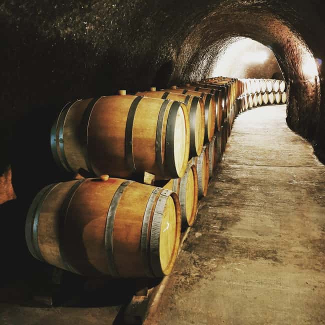 Madrid: half day wine region tour - What you’ll taste, and how to order your attention