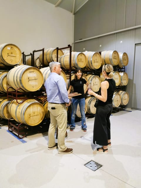 Madrid: half day wine region tour - The drive out: olive groves, vines, and medieval towns
